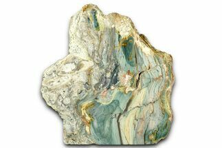 Freestanding Gary Green Jasper (Larsonite) Bog Wood - Oregon #377837