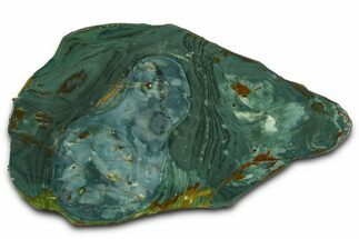 Gary Green Jasper (Larsonite) Bog Wood Section - Oregon #377934