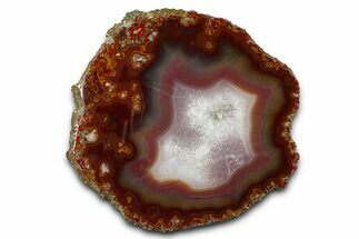 Polished Banded Agate Nodule Slice - Morocco #378096