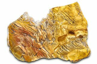 Polished Orange Brecciated Jasper - Nevada #378126