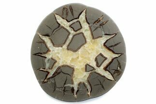 Polished Septarian Nodule Half - Utah #378433