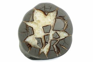 Polished Septarian Nodule Half - Utah #378437