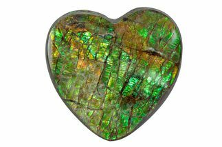 Flashy Ammolite (Fossil Ammonite Shell) Heart - Greens & Oranges #378550