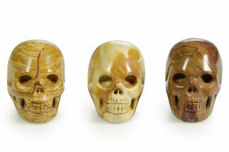 Polished Nevada Wonderstone Skulls #378707