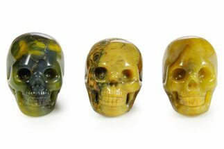 Polished Pietersite Skulls #378711
