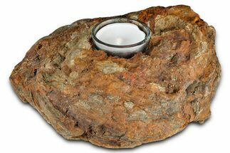 Interesting, Petrified Wood Candle Holder - Madagascar #378665