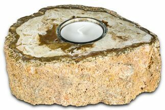 Polished Petrified Wood Candle Holder - Madagascar #378671