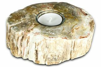 Polished Petrified Wood Candle Holder - Madagascar #378673