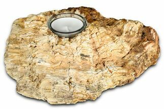 Interesting, Petrified Wood Candle Holder - Madagascar #378688