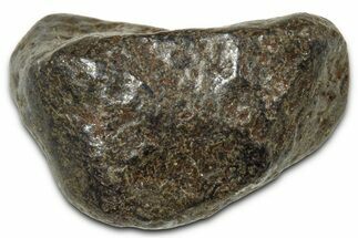 Gibeon Iron Meteorite ( g) - Namibia #378732