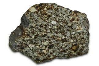 Chondrite Meteorite Section ( g) - NWA #378820