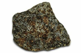 Chondrite Meteorite Section ( g) - NWA #378821