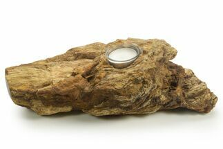 Unique, Petrified Wood Candle Holder - Madagascar #378660
