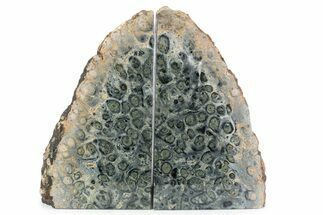 Tall Polished Kambaba Bookends - Madagascar #378833