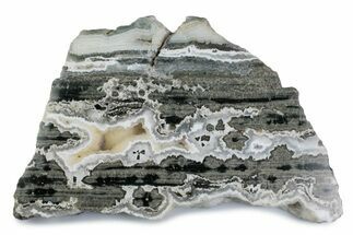 Polished Orbicular Ocean Jasper Slab - Madagascar #379333