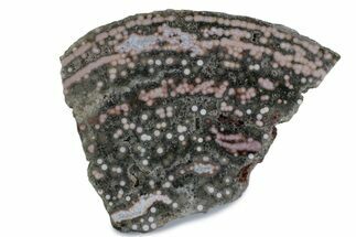 Polished Orbicular Ocean Jasper Slab - Madagascar #379339