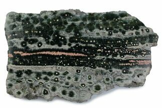 Polished Orbicular Ocean Jasper Slab - Madagascar #379347