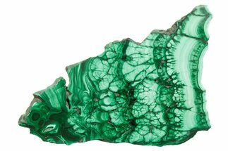 Flowery Polished Malachite Slab - D R Congo #379793