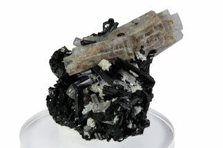 Glassy Goshenite Crystals on Schorl - Erongo Mountains, Namibia #379939