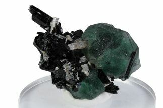 Green Fluorite with Goshenite Crystals on Schorl - Namibia #379941