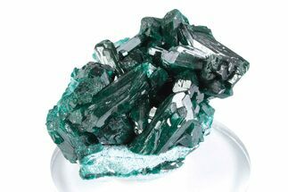 Stunning Dioptase Crystal Cluster on Plancheite - Sanda, Congo #379996