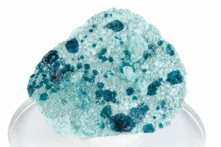 Vibrant Blue Veszelyite Cluster on Hemimorphite - Congo #380031