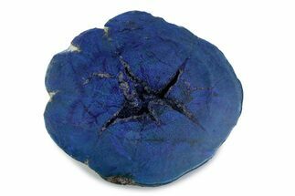 Vivid Blue Cut/Polished Azurite Nodule - Siberia #379842
