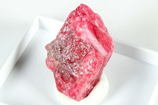 Striking Cherry-Red Rhodonite Specimen - Brazil #379797