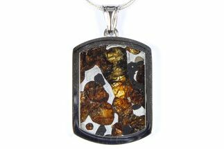 Sericho Pallasite Dog Tag Meteorite Pendant - Kenya #380534