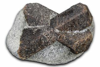 Twinned Staurolite Cross In Glittering Mica-Schist - Russia #380638
