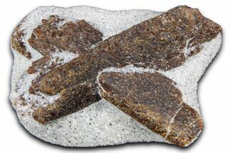 Twinned Staurolite Cross In Glittering Mica-Schist - Russia #380640