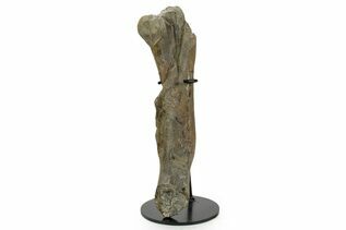 Recently Added For Sale