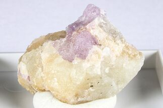 Purple Spinel Crystals with Forsterite & Phlogopite - Tajikistan #380316