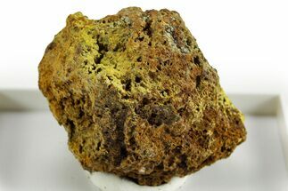 Rare Bright Yellow Humboldtine on Matrix - Montana #380518