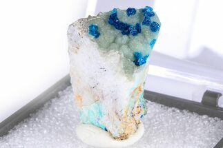 Vibrant Blue Veszelyite Crystals on Hemimorphite - China #380431