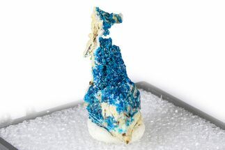 Vibrant Blue Veszelyite Crystal Cluster - China #380439