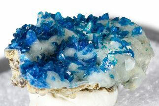 Vibrant Blue Veszelyite Crystals on Hemimorphite - China #380441