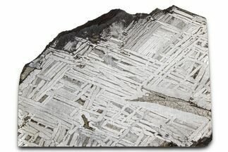 Aletai Iron Meteorite Slice ( g) - Xinjiang, China #381601