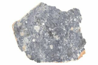 Lunar Meteorite ( g) Slice - Bechar #381613
