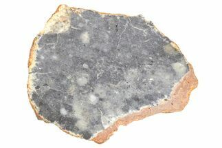 Lunar Meteorite ( g) Slice - Bechar #381617