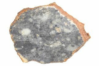 Lunar Meteorite ( g) Slice - Bechar #381619
