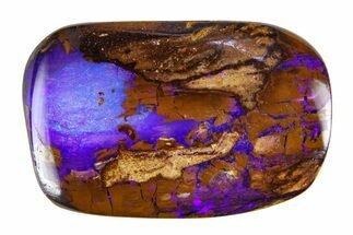 Electric Purple Boulder Opal Specimen - Queensland, Australia #381728