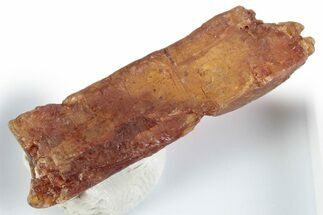 Rare Orange Kyanite Crystal - Tanzania #381419