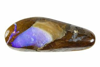 Galactic Boulder Opal Specimen - Queensland, Australia #381830