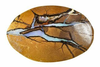 Colorful Polished Boulder Opal Specimen - Queensland, Australia #381834