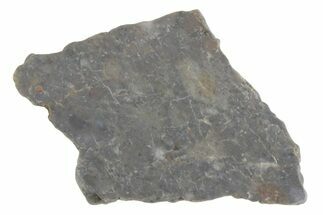 Lunar Meteorite ( g) Slice - Laayoune #381674