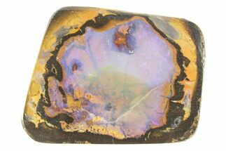 Flashy Polished Boulder Opal Specimen - Queensland, Australia #381768