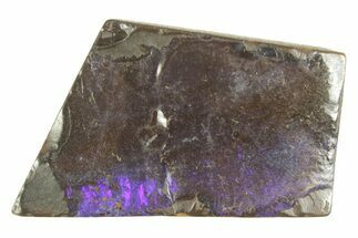 Galactic Boulder Opal Specimen - Queensland, Australia #381771