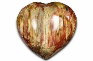 Polished Triassic Petrified Wood Heart - Madagascar #381866