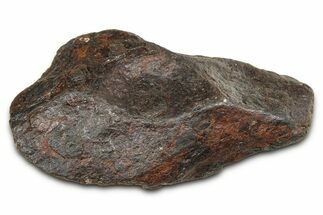 Canyon Diablo Iron Meteorite ( g) - Arizona #381961
